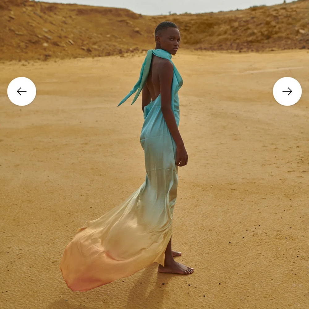 Baobab Providencia Maxi Dress